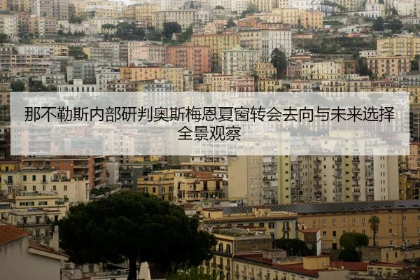 那不勒斯内部研判奥斯梅恩夏窗转会去向与未来选择全景观察